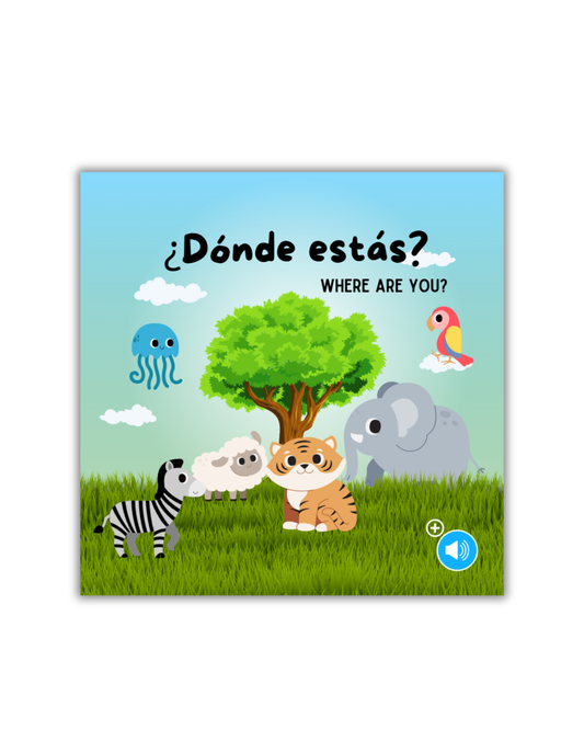 ¿Dónde estás? (Spanish - English)